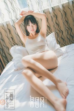 掌门女婿