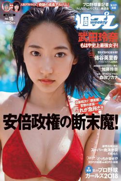 爱情真善美全集下载